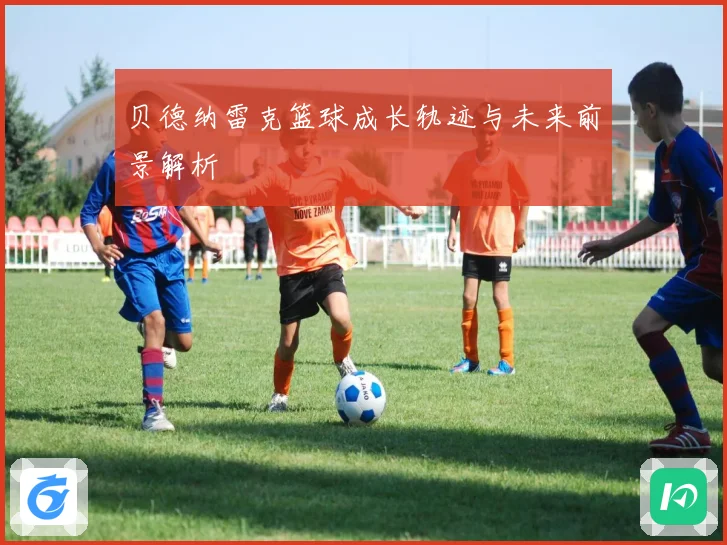 贝德纳雷克篮球成长轨迹与未来前景解析
