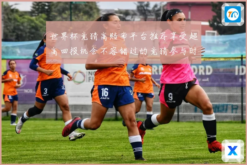 世界杯竞猜高赔率平台推荐享受超高回报机会不容错过的竞猜参与时数据研判