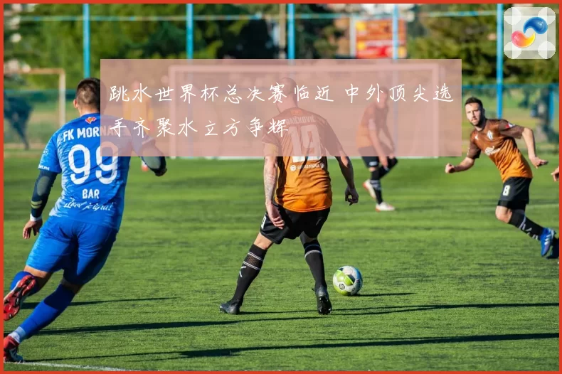 跳水世界杯总决赛临近 中外顶尖选手齐聚水立方争辉